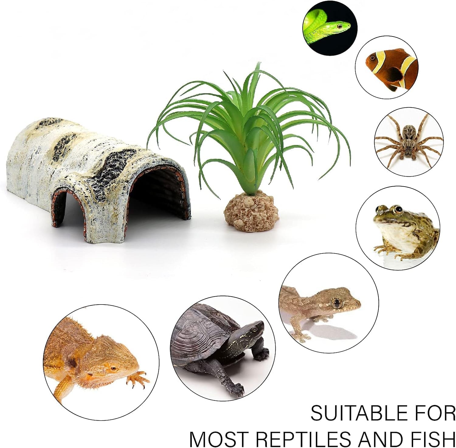 Reptile Hides and Caves Birch Tree Bark Trunk Habitats Decor Aquarium Decoration Wood for Lizard Geckos Snake Spiders Frogs Turtle (Small)